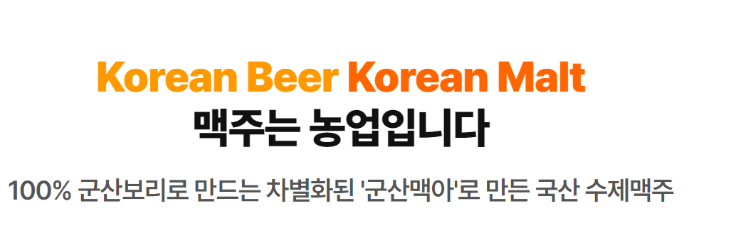 군산 수제맥주 & 블루스 페스티벌 공연 입장료 체험