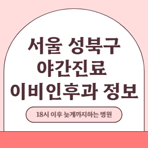 서울 성북구 야간진료 이비인후과 병원 (18시 이후 늦게까지하는 병원)