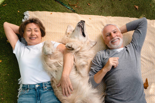 무료 또는 저렴한 문화 프로그램