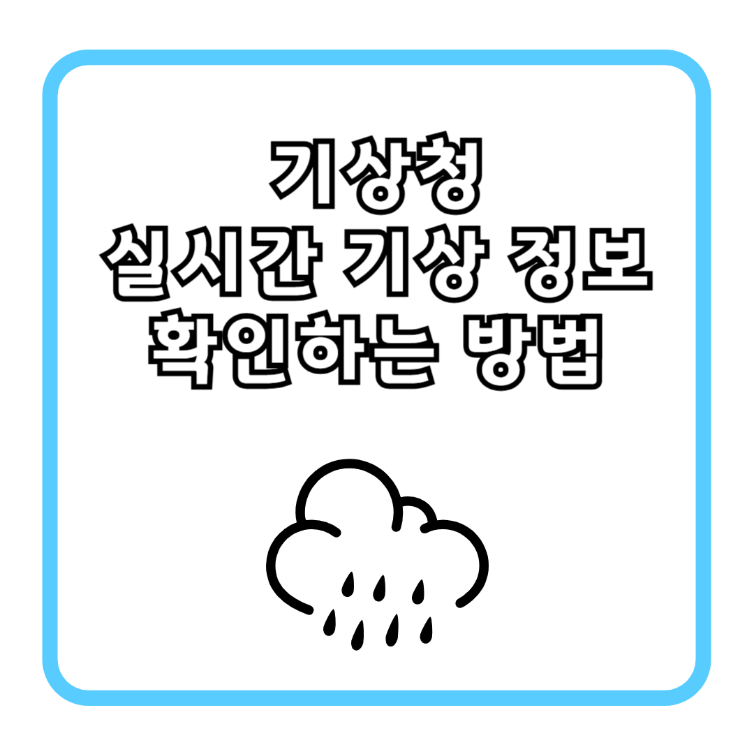 기상청 실시간 기상 정보 확인하는 방법