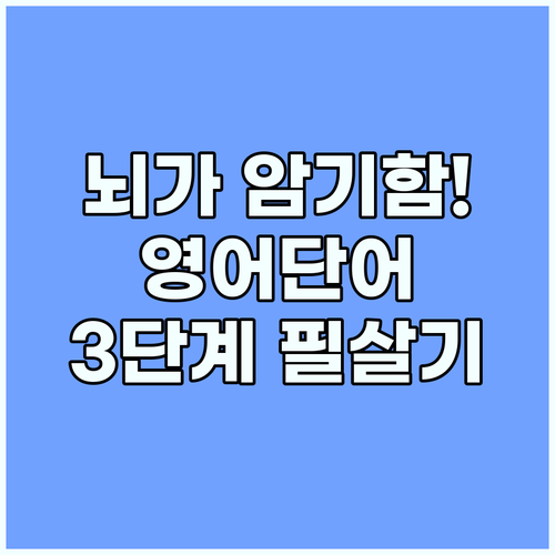 영어 단어 암기 뇌가 정보를 저장하는..