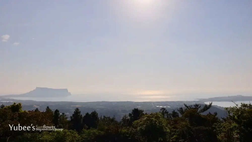 대수산봉 정상 경치