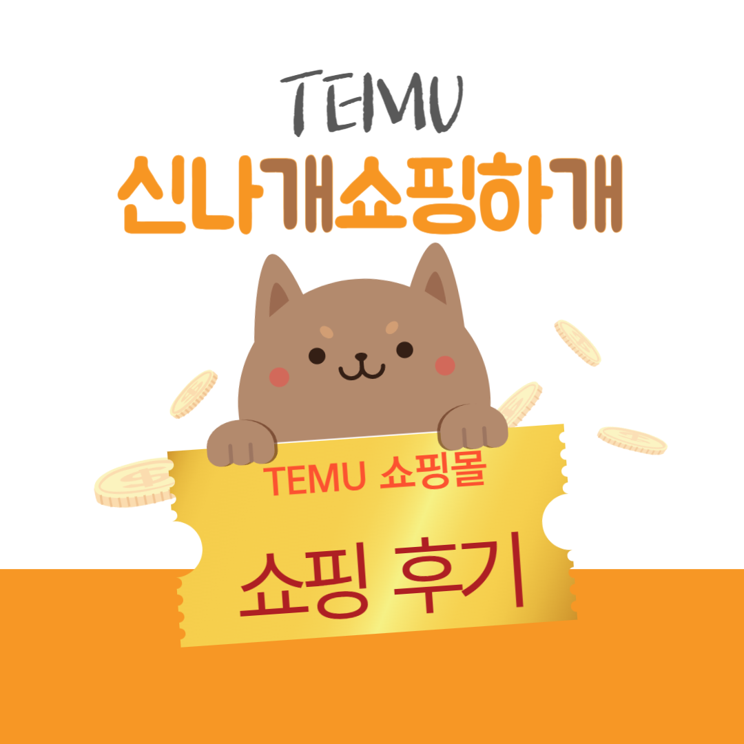 테무 쇼핑몰 후기