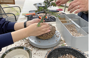 분재를 만드는 모습