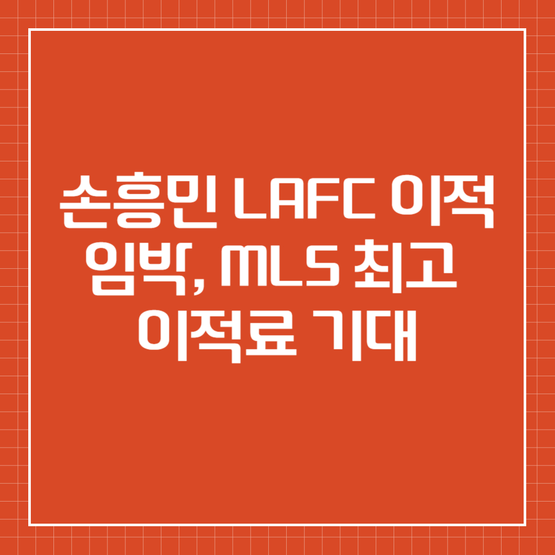 손흥민 LAFC 이적 임박, MLS 최고 이적료 기대