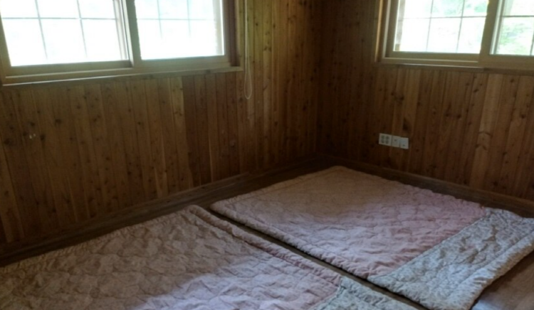 태백고원 자연휴양림