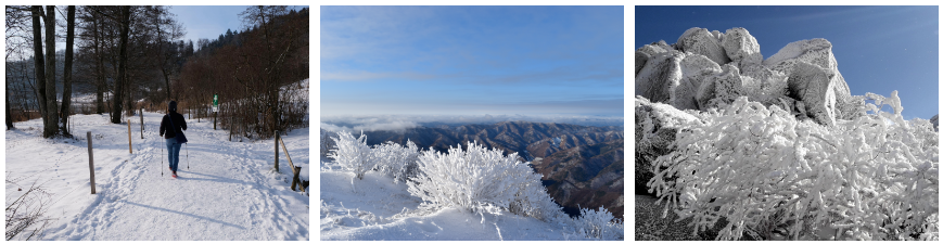 눈꽃 산행, 안전하게 즐기기 위한 5가지 팁