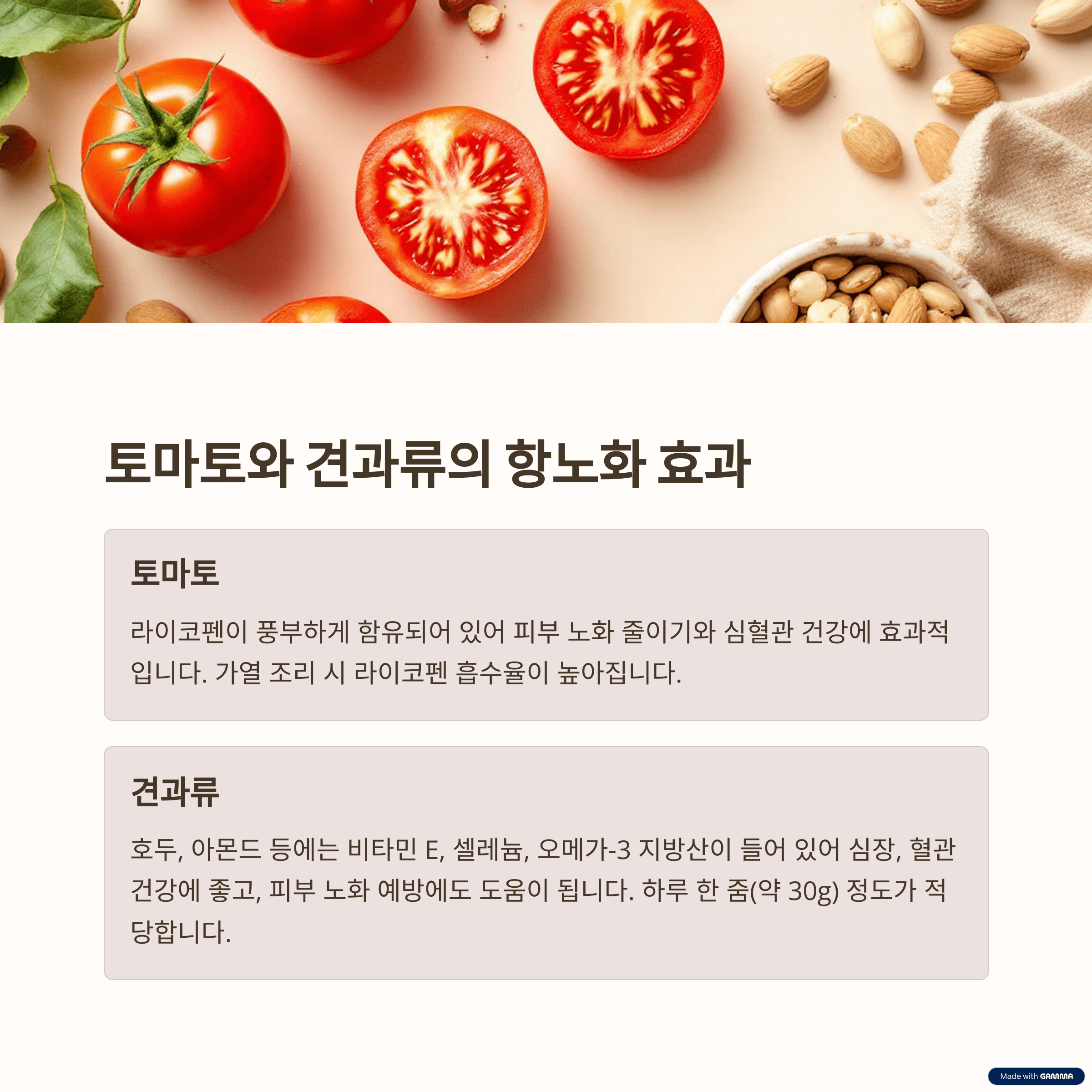 저속노화 항산화 식품 TOP 10