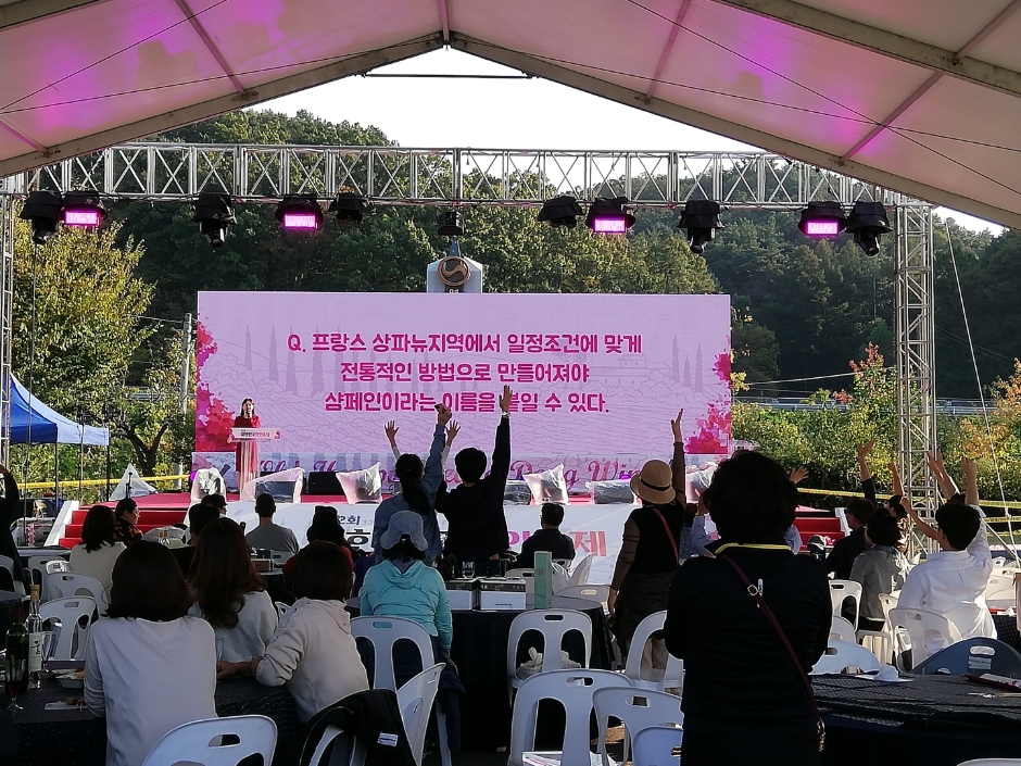 제13회 대한민국 와인축제 in 영동 특징
