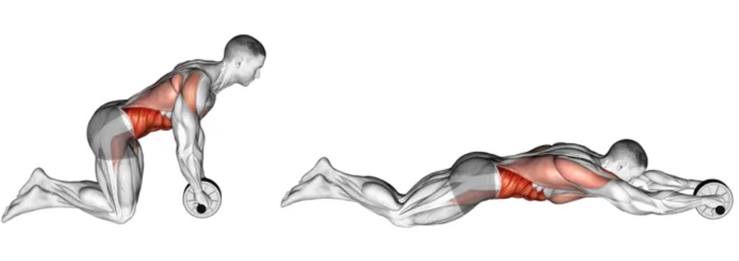 실내 복근 운동기구 : 애브 롤러 사용법