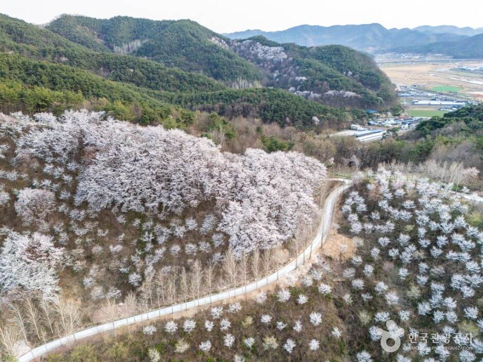 고령 가볼만한곳 베스트 10
