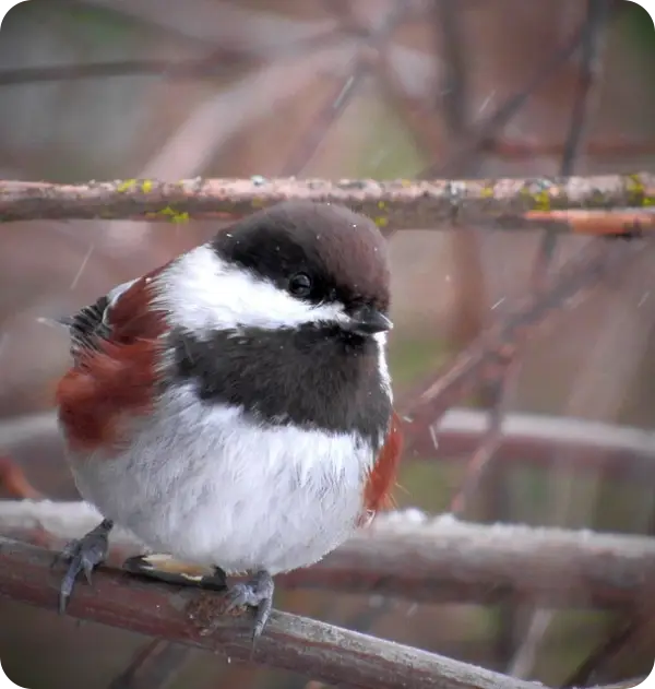 민생히복지원금 신청