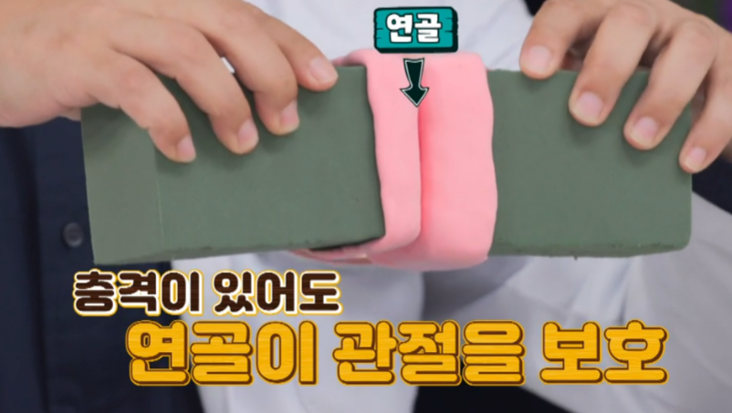 콘드로이친