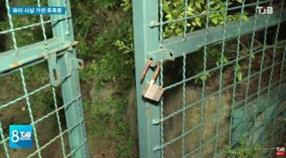 대전 늑대 동물원 오월드 탈출 퓨마 포획 상황