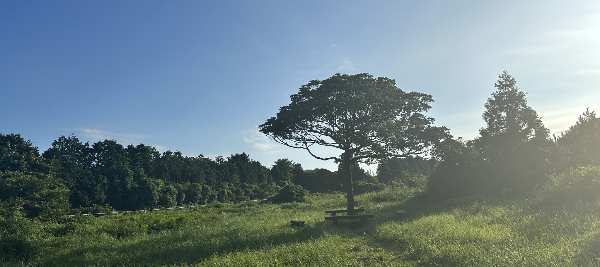 아부오름 산책로