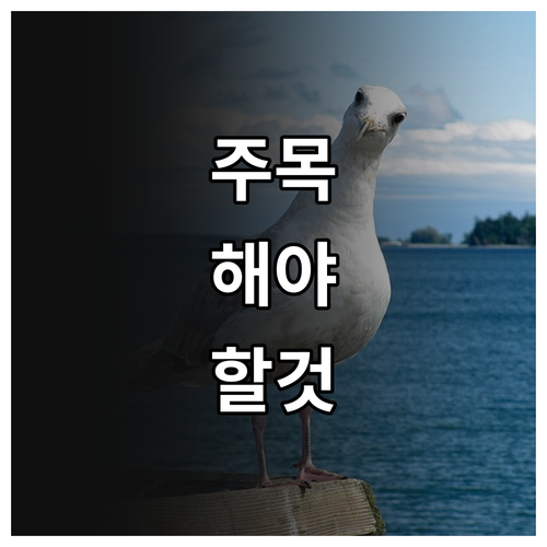 2025 가정위탁아동 상해보험 지원 ..