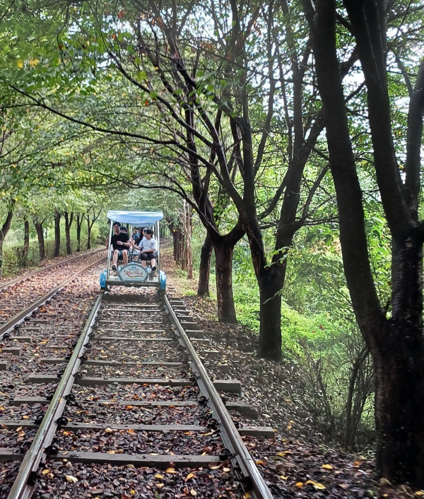 레일바이크 뒷차 따라오다