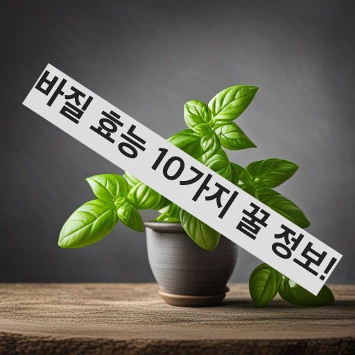 바질 효능 10가지 꿀 정보!