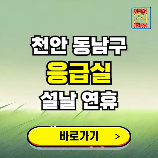 천안시 동남구 설날 연휴 비상진료 응급실 병원 찾기 ❘ 내근처 24시 야간 심야 휴일 가능한 곳