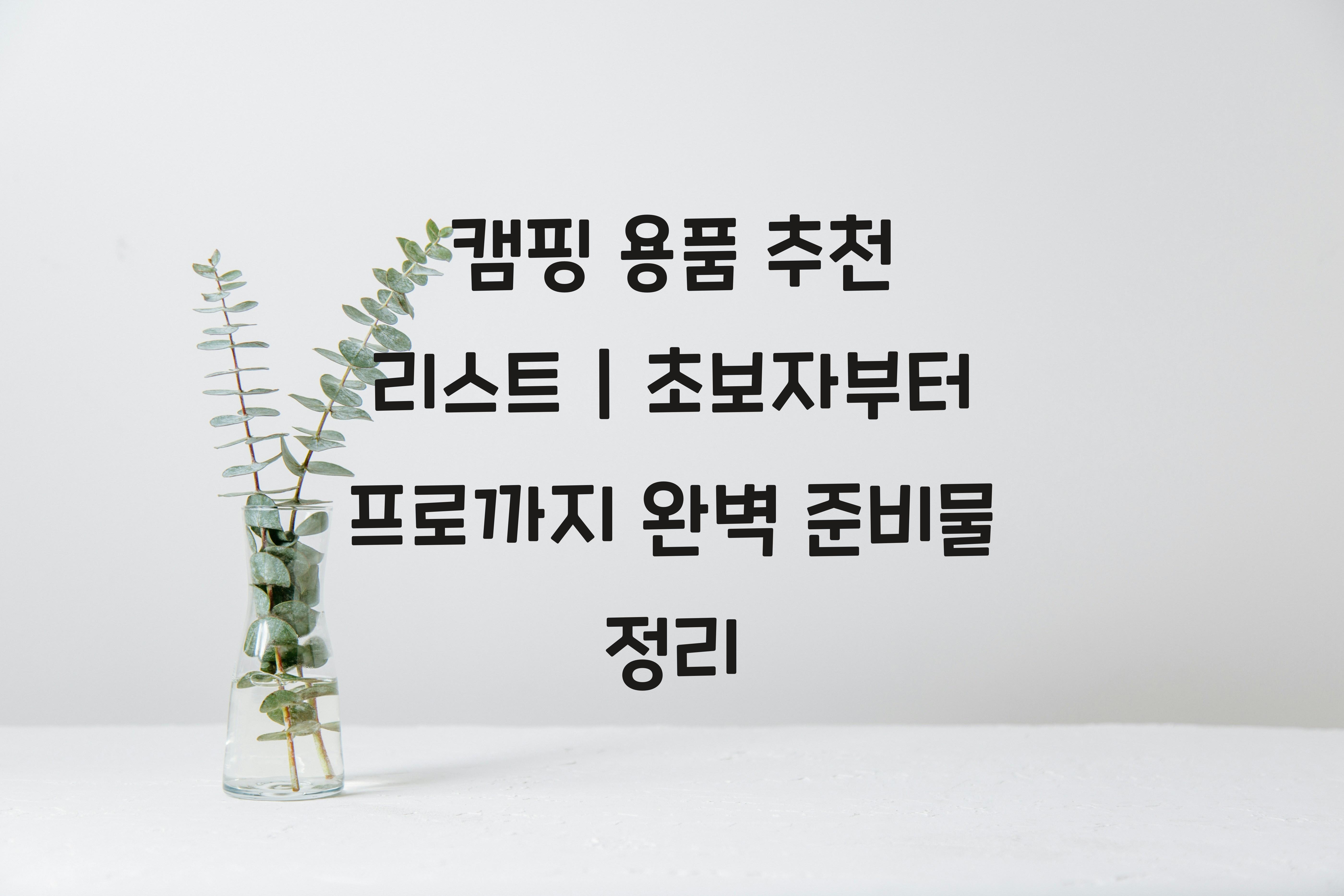 캠핑 용품 추천 리스트