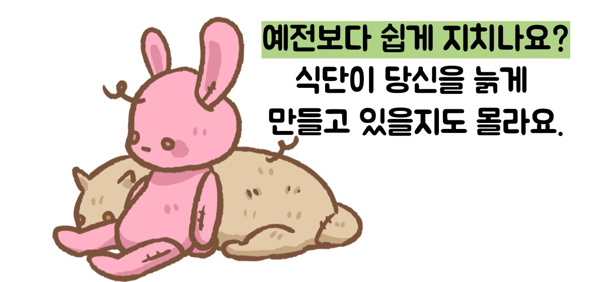 저속노화 식단