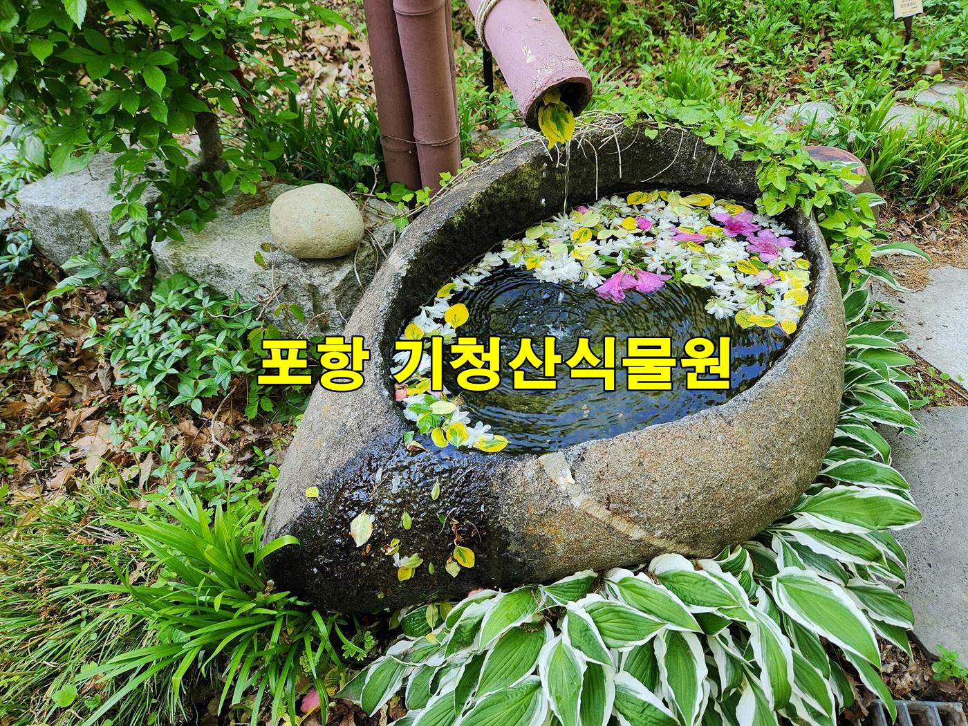 포항 기청산식물원