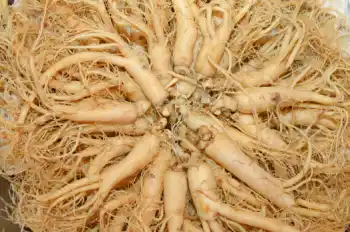 인삼 가격 및 효능, 인삼 먹는법