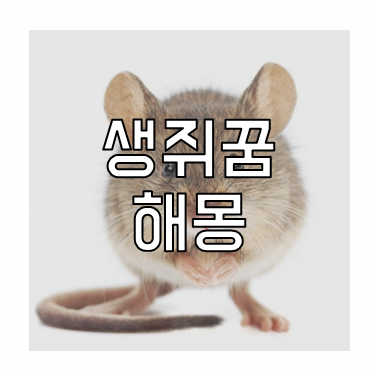 생쥐꿈
