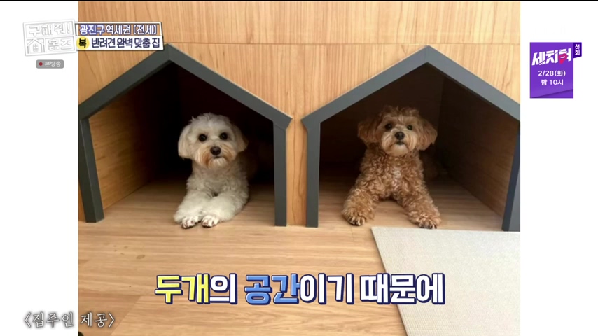 구해줘홈즈 댕댕하우스 동물병원 인접 서울시 광진구 중곡동 전세 매매 매물 가격 및 구조 인테리어 리모델링 최종선택 더보이즈 영훈 현재 소개