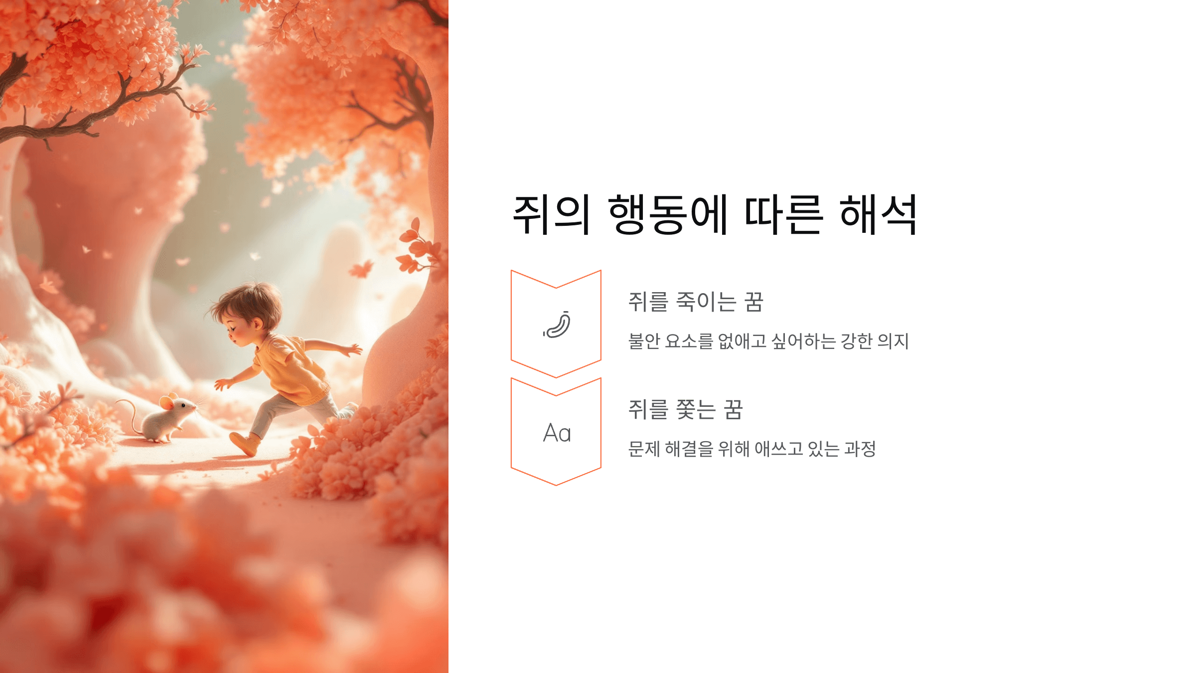 쥐 사진입니다.