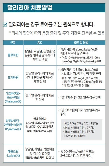 말라리아 치료