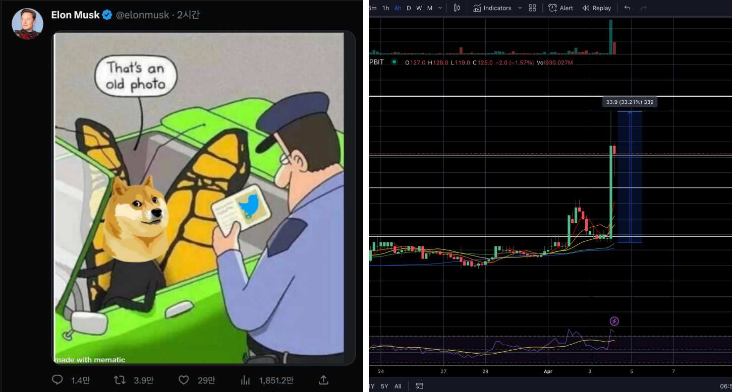 도지 시황
