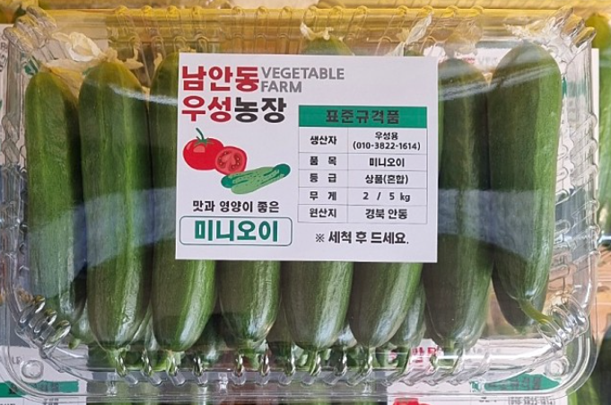 [6시 내고향] 안동 미니오이 택배 주문 정보