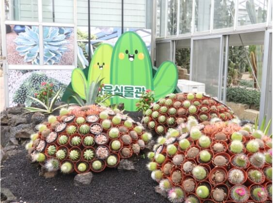 2025 함평 나비 축제 일정부터 주차&middot;입장료까지! 꿀팁 총정리