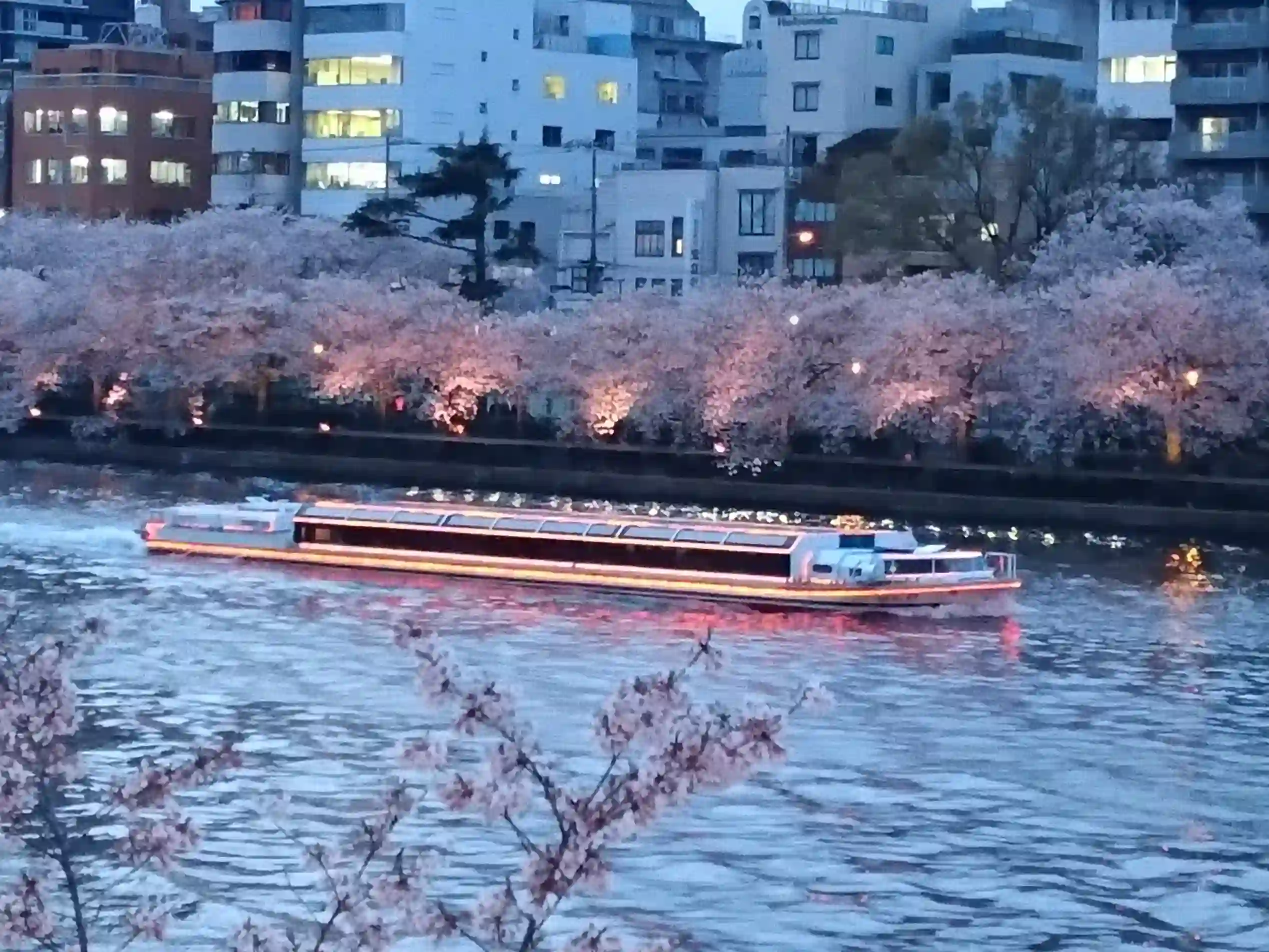 오사카성 꽃놀이 크루즈 수상버스