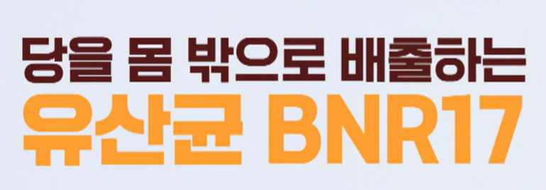 bnr17 유산균 효능
