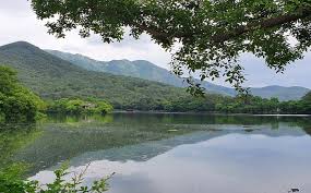 밀양 가볼만한곳 - 위양지