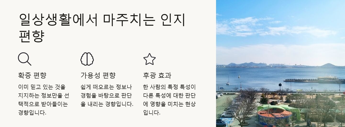 인지 편향