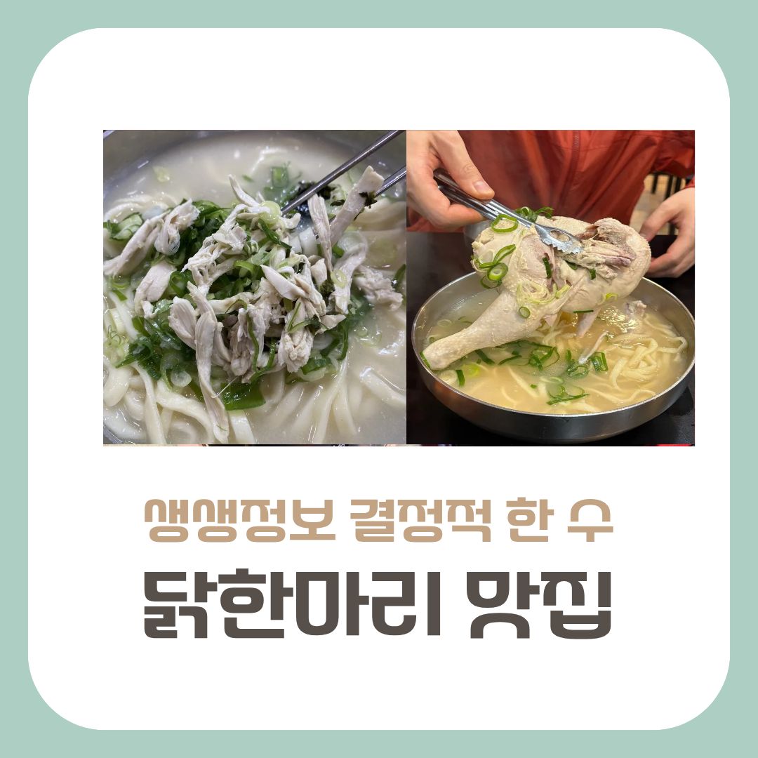 천안 닭한마리 맛집
