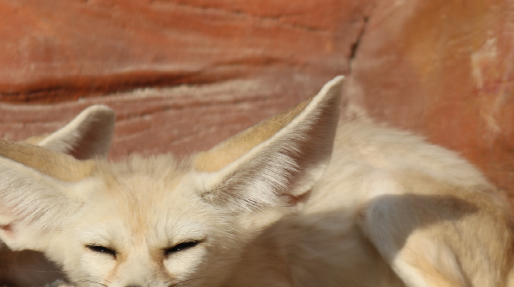 아라마루 아쿠아리움
