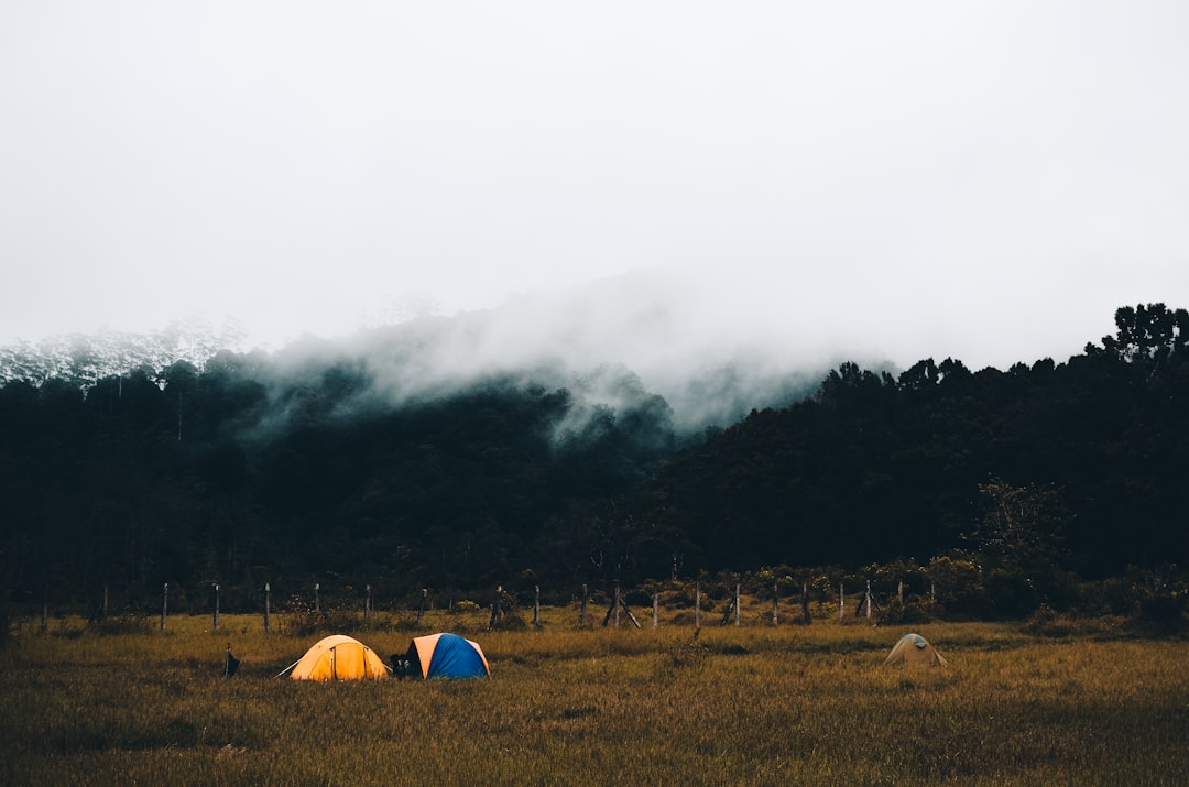 Campsite