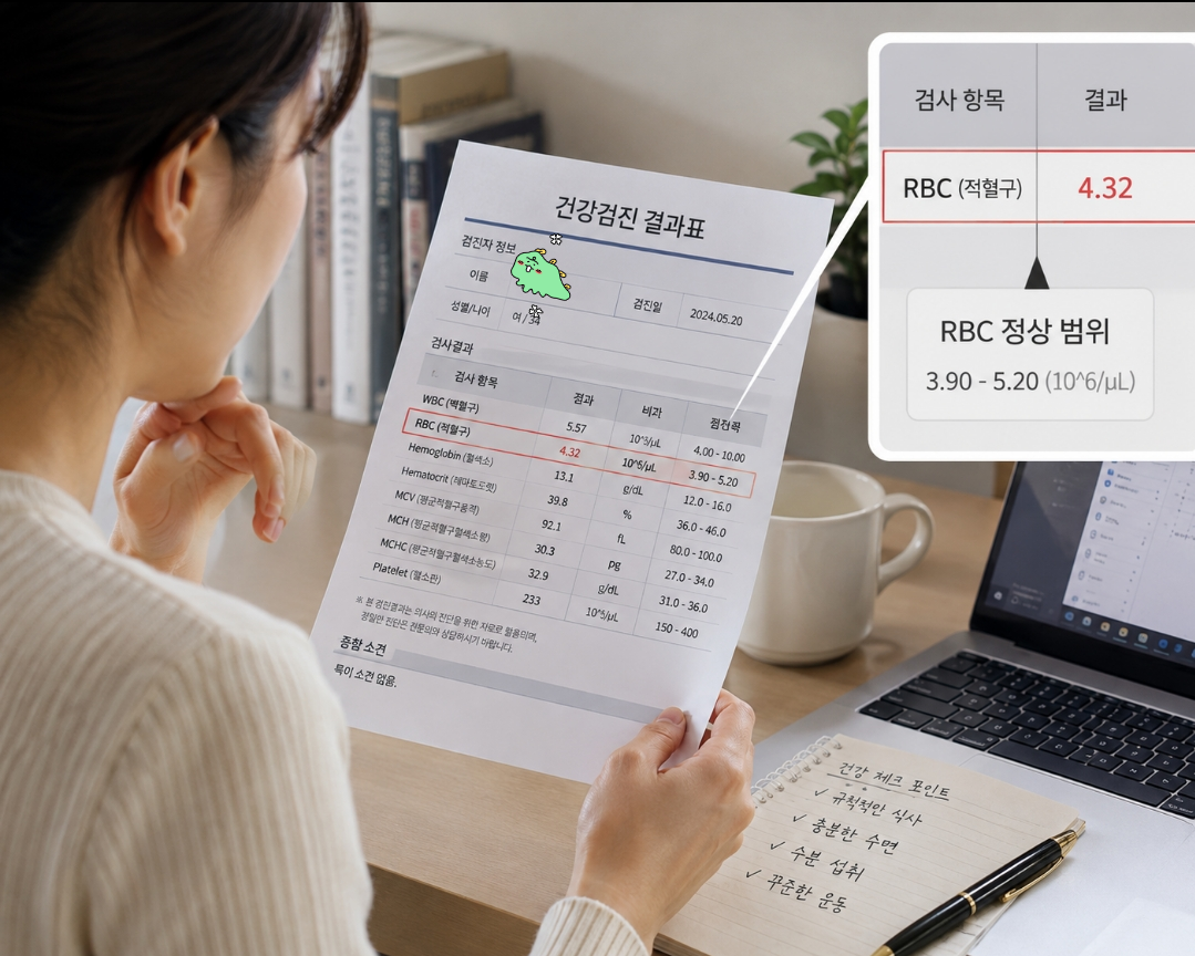 적혈구 RBC 정상수치