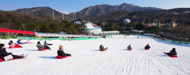 서울랜드 눈썰매장3