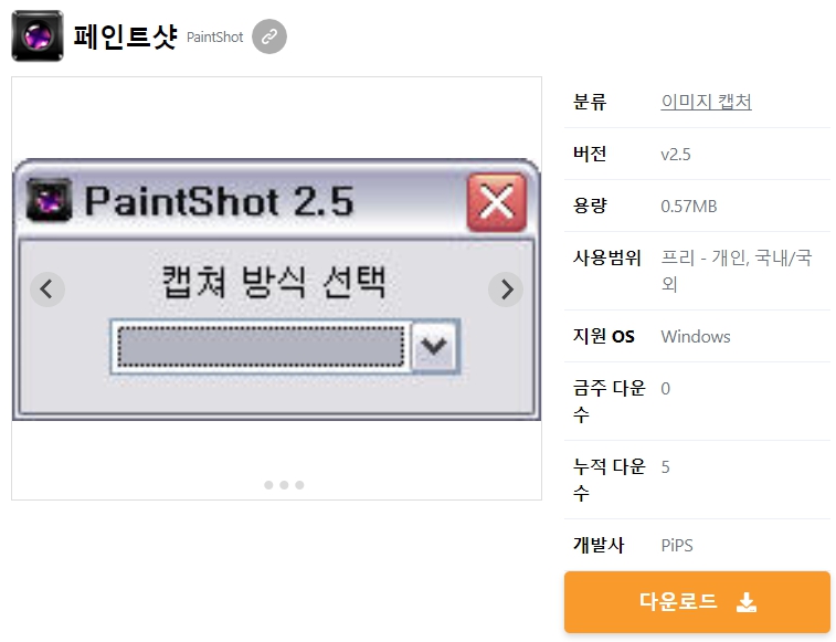 페인트샷
