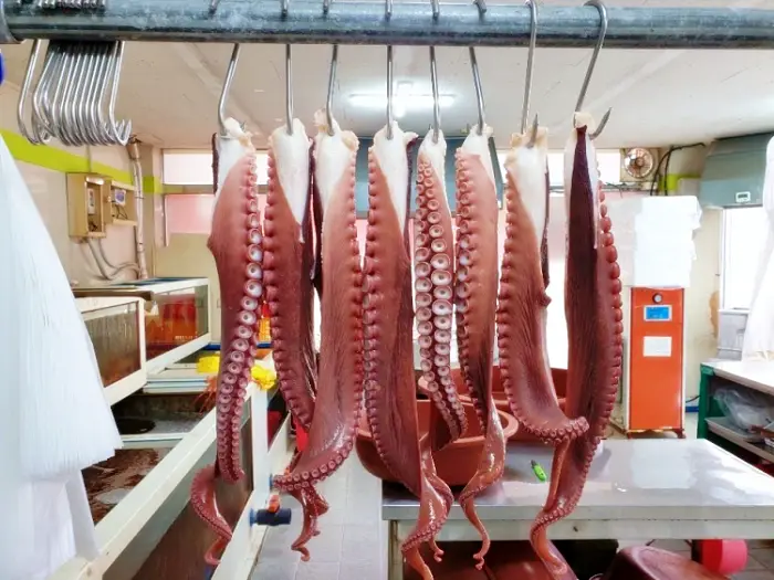 경주 성동시장 대왕문어 파는 곳 전화 택배 주문 맛집