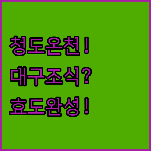 부모님 효도 여행 추천 청도 용암온천..