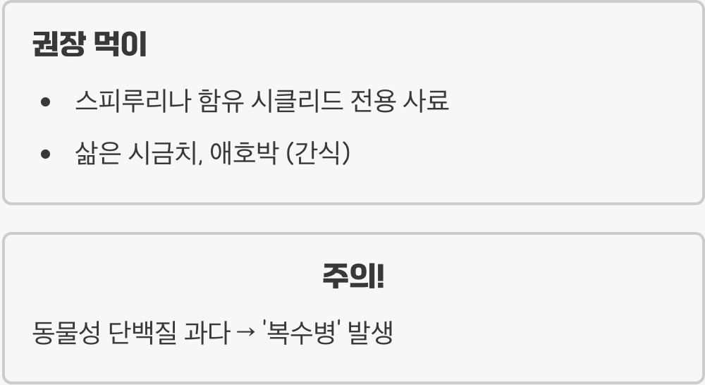 채식을 즐기는 미식가 (먹이 가이드)