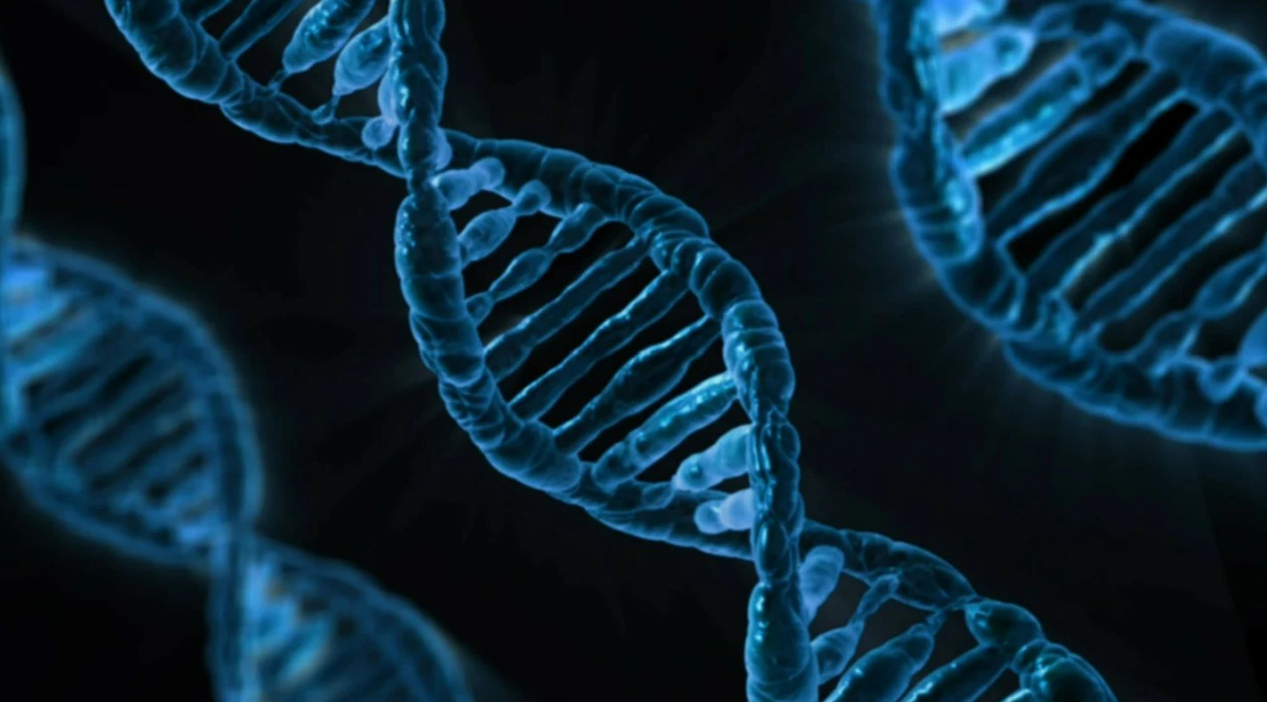 개인맞춤의학: CRISPR 기술과 유전체 편집의 미래