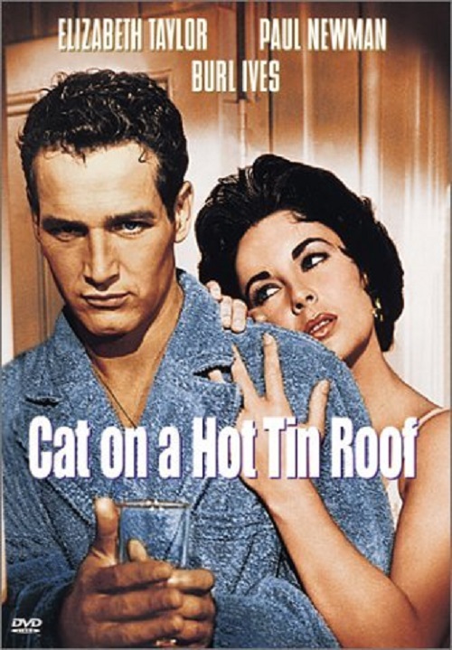 지붕 위의 고양이 영화 포스터