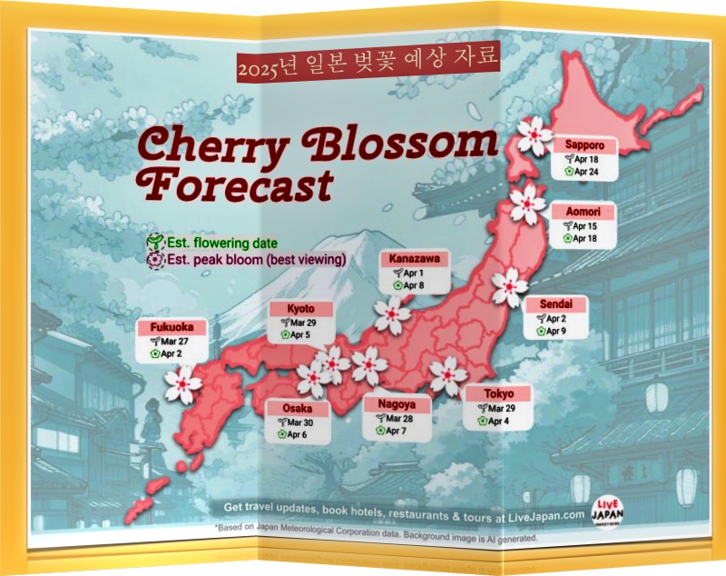 2025년 오사카 벚꽃 개화 시기